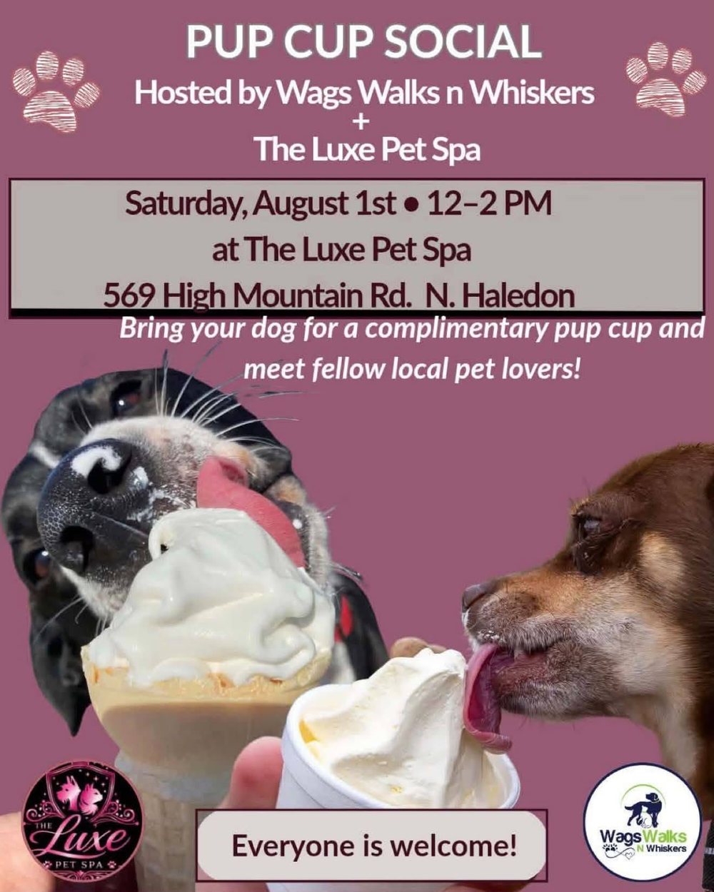 Pup Cup Social hosted by Wags Walks n Whiskers and The Luxe Pet Spa — Saturday, August 1st, 12–2 PM at 569 High Mountain Rd, North Haledon NJ. Bring your dog for a complimentary pup cup. Everyone is welcome.